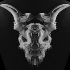 Tom Mozgchill