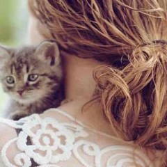 إليسا@جربت فى مرة@عمرو فؤاد
