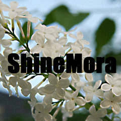 Shinemora