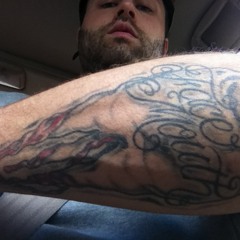 FACEMOUTH / GOLD TARANTULA