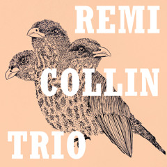 Remi Collin Trio