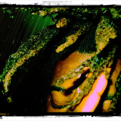 JONAS JUGGERKNOTS....