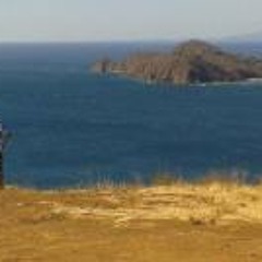 Marvin Prendas Venegas