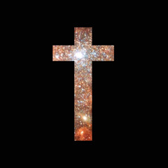 Unicorn With S.WA.G.