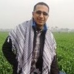Ahmed Hamam 204