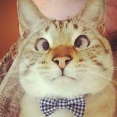 John Carl Mendelebar