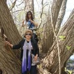 Sedigheh Gervehi