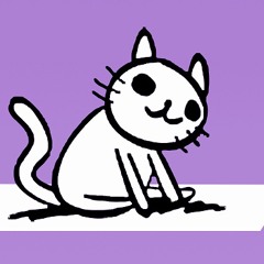 SkyCatt