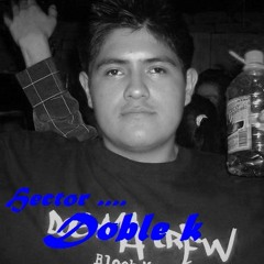 hecktor palestra ideas