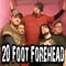 20footforeheadrocks