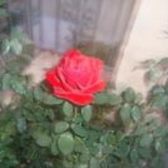 01 - Capulet Ie No Higeki - Romeo X Juliet OST