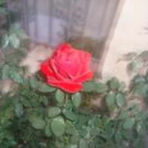 01 - Capulet Ie No Higeki - Romeo X Juliet OST