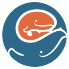 Seattle Children’s