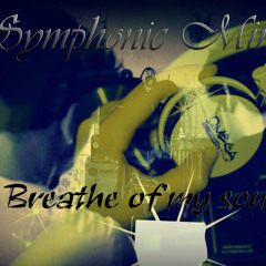 Symphonic Mind