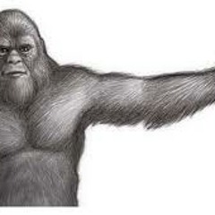 Matthew Meezymean Owens