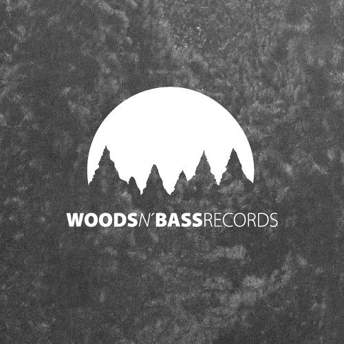 Stream Woods N Bass music | Listen to songs, albums, playlists for free