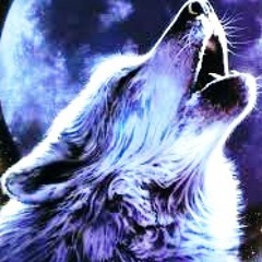 iamwolf