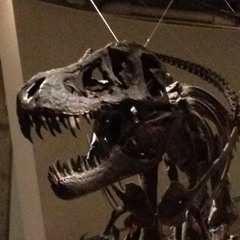 trextyla400