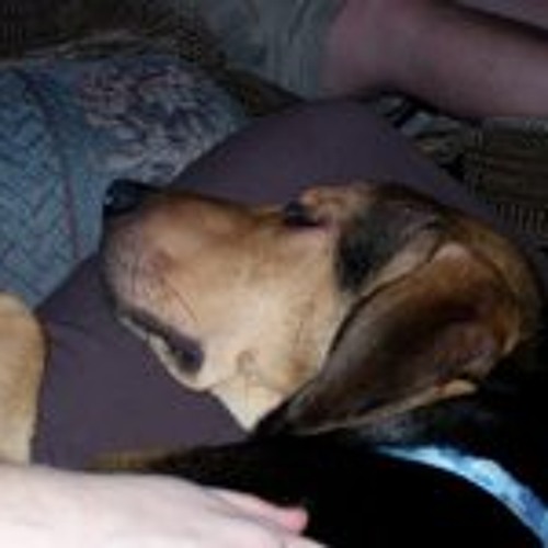tess