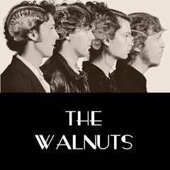 The Walnuts - Unmixed