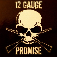 12 Gauge Promise