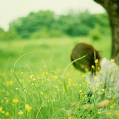 Một hoa hai quả - Trương Vệ Kiện