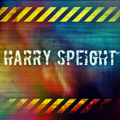 Hᴀʀʀʏ Sᴘᴇɪɢʜᴛ