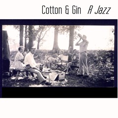 cottonandginmusic