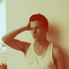 Miguel Taborda Silva