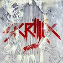 skrillex274652