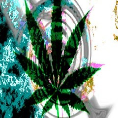 Jonathan Israel Garza