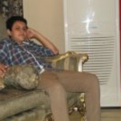Mohamed Mamdouh El Kenany