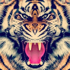 TIGERZ
