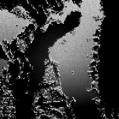 The Fleshy Timeclock