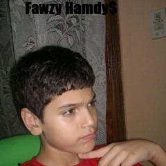 Fawzy Hamdy$
