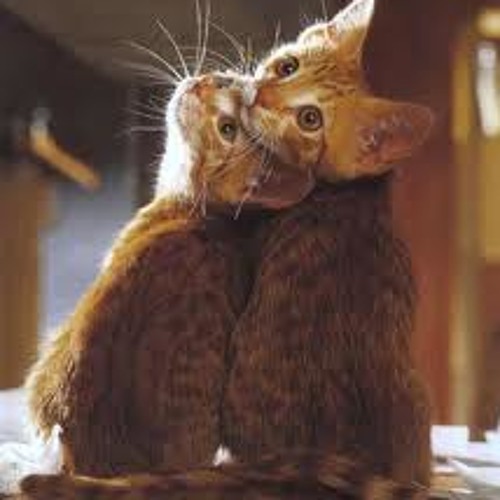 opreet اوبريت استح "ابراهيم النقيب وعيد سعود ومحمد الحسينان وعبدالله الخشرمي