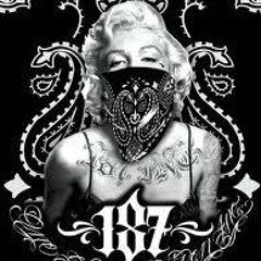 puma still free crew!