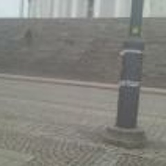 Thøger Hviid Thøgersen