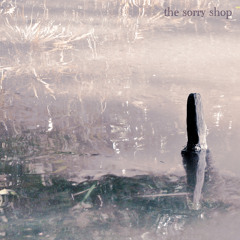 The Sorry Shop - Queen Of The North