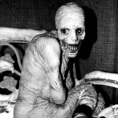 HøstileConstriction ☣
