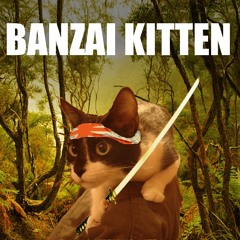 Banzai Kitten