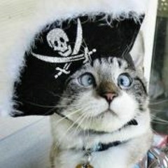 Manuel Copo de Nieve