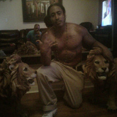 KING CRAZE! ALMIGHTY