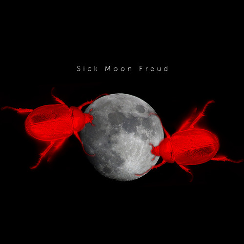 Sick Moon Freud’s avatar