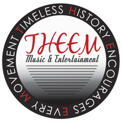 THEEM LLC