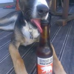 Hayley Anne Stevenson