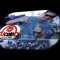 DjCele Celestino Miguel