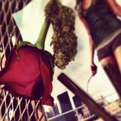blunts_n_roses