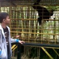 Andri D'madridistacrtojoh