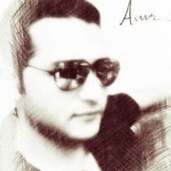 Amr Seyam